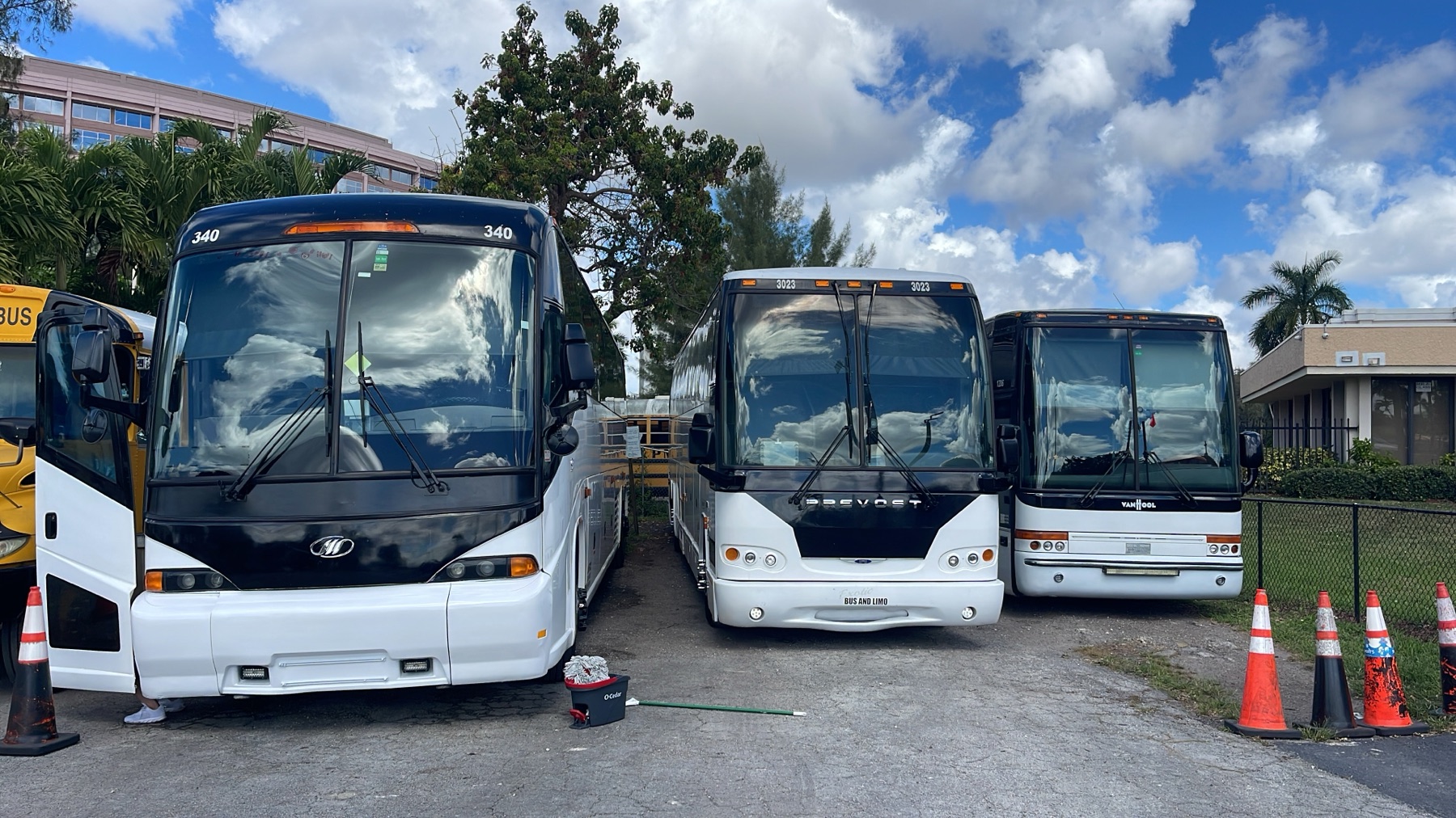 White and black coach buses lined up for group transportation
